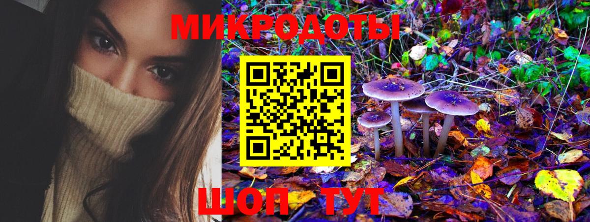 Большой Камень  Галлюциногенные грибы ЛСД  Вход с VPN 