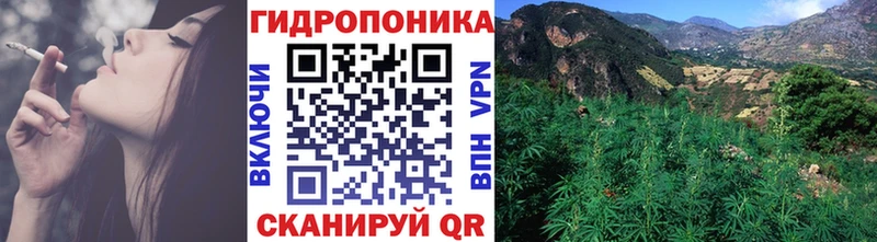 Канабис планчик сколько стоит Большой Камень