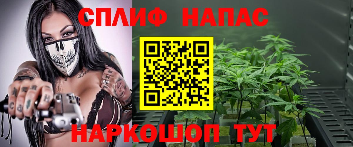 Конопля Ganja Большой Камень